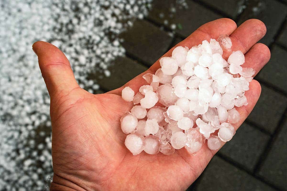 Hand holding a pile of hailstones.