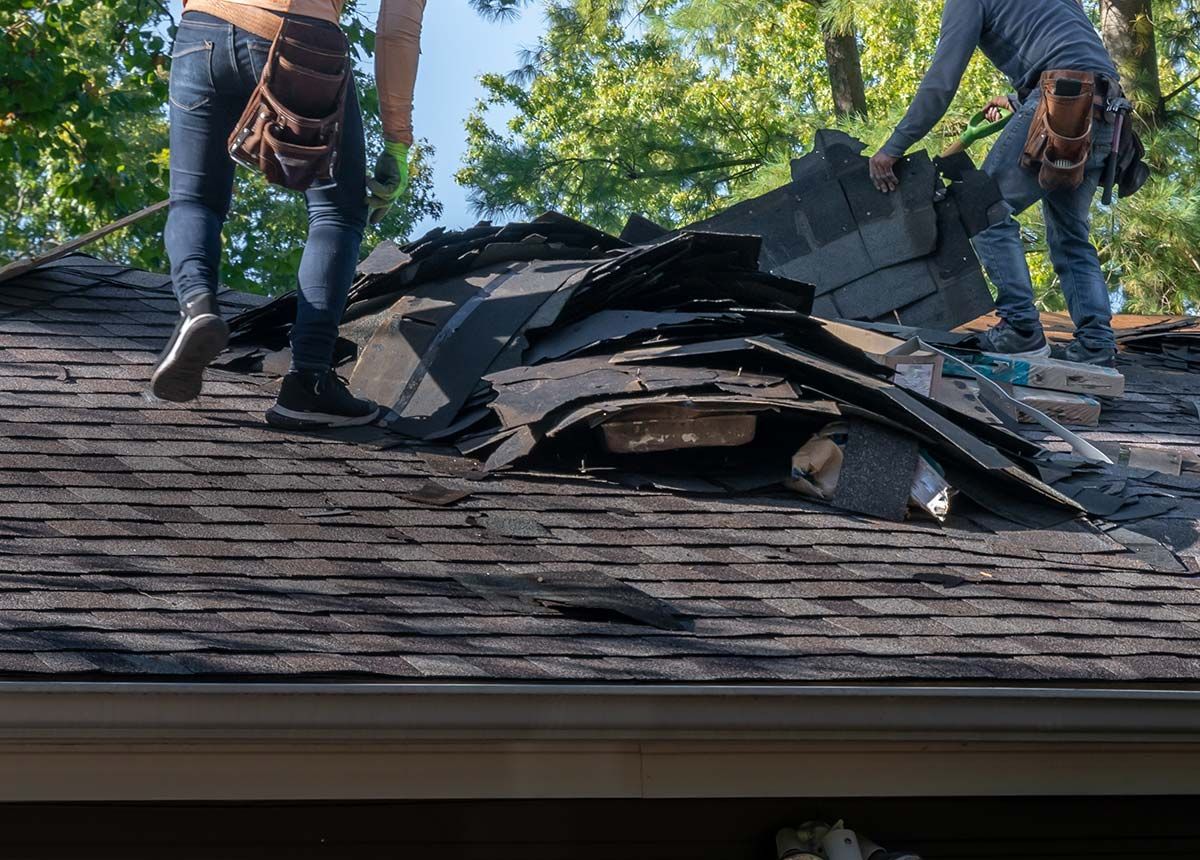 Two workers remove old shingles from a roof. Sunlight, trees in the background.