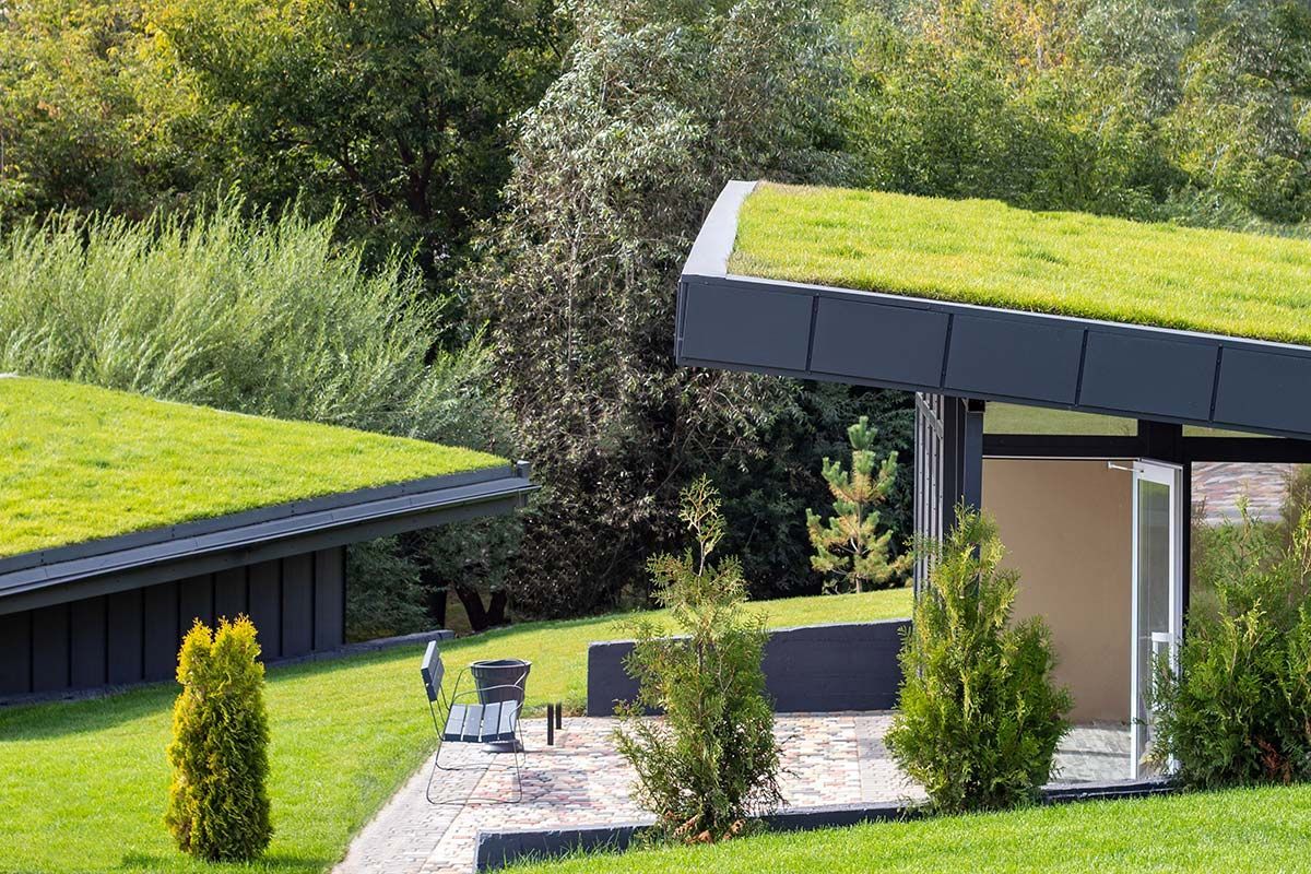 Green roofs on modern buildings, surrounded by grass and trees.