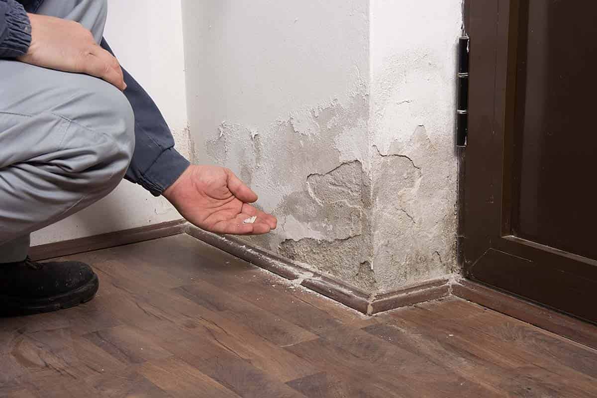 Person pointing at peeling paint on a corner wall, potentially caused by moisture. Brown door and wood floor in view.
