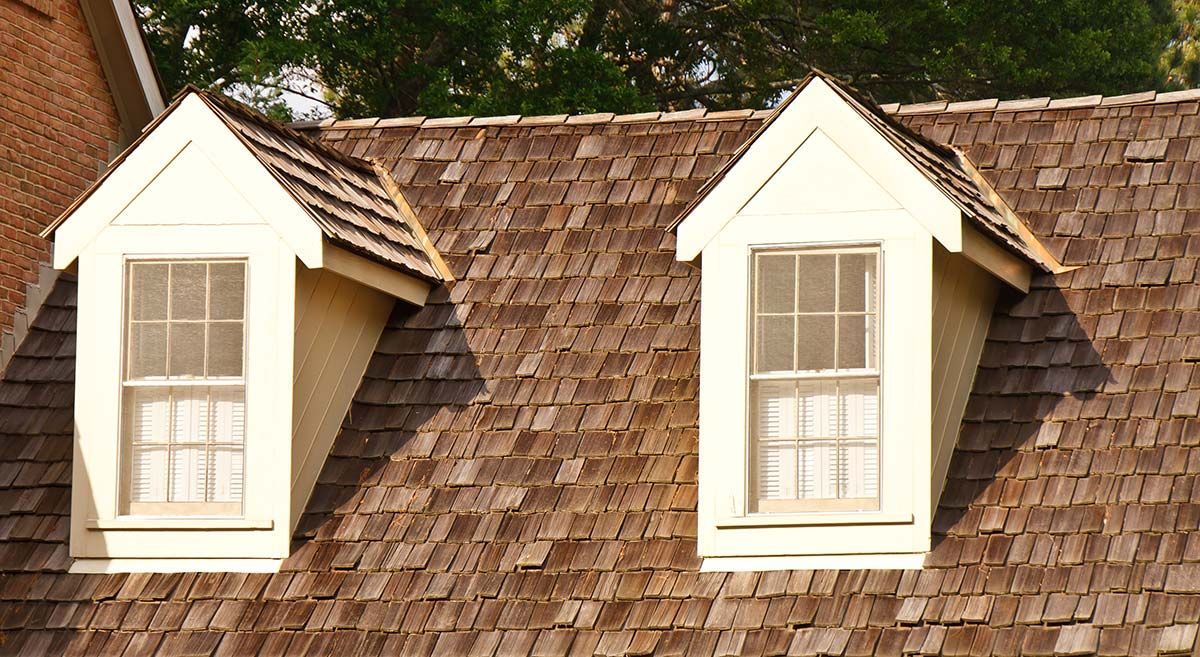 Close-up of asphalt shingle roof. A circled area with white paint around a hole.
