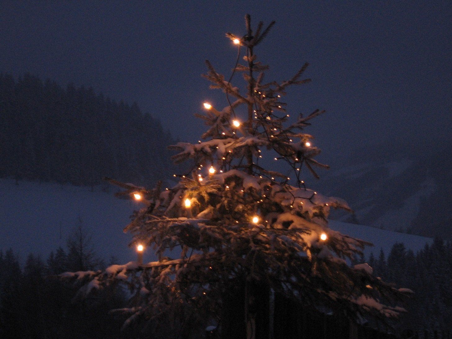 Weihnachtsbaum