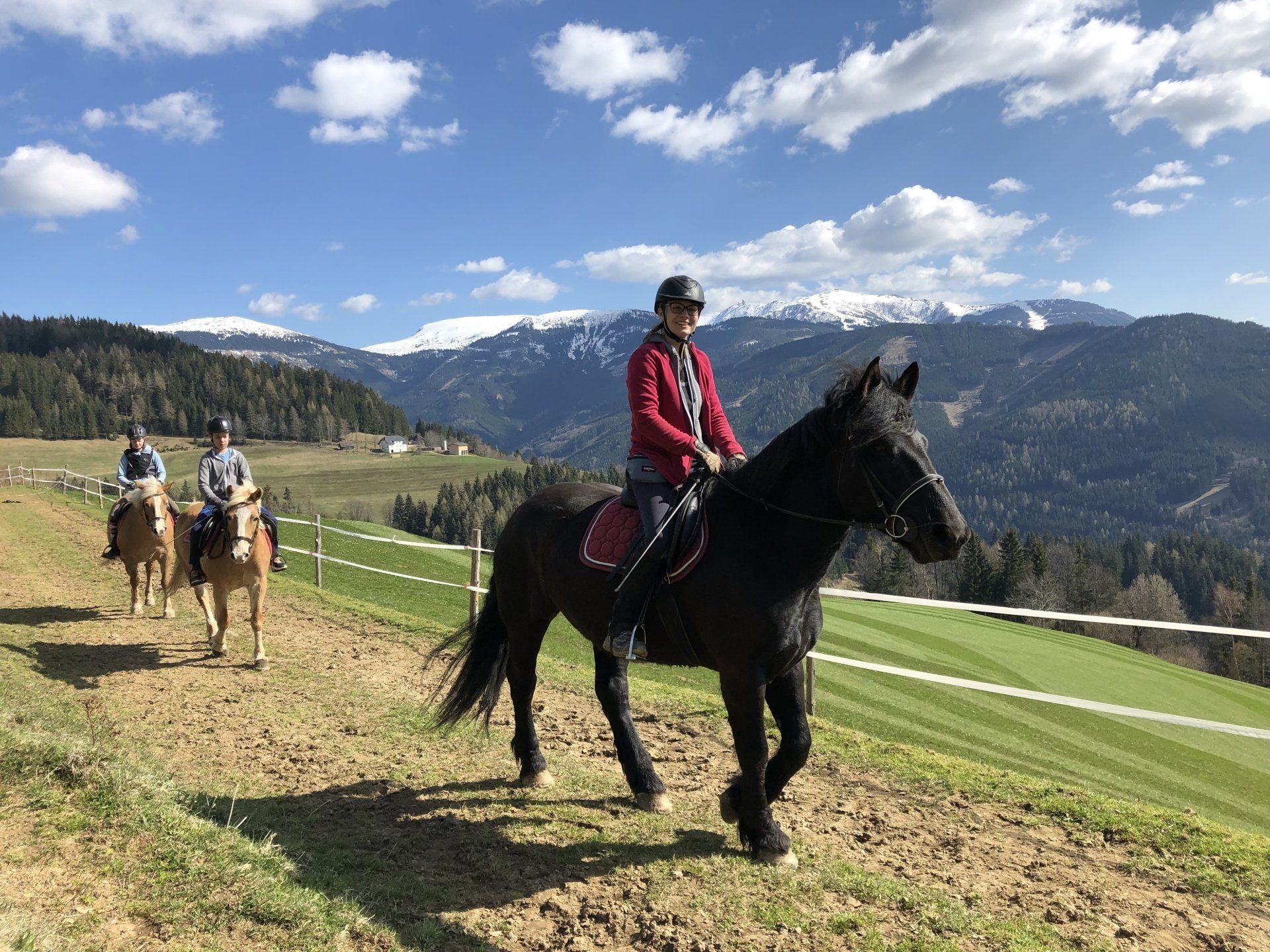 Pferd mit Reiter