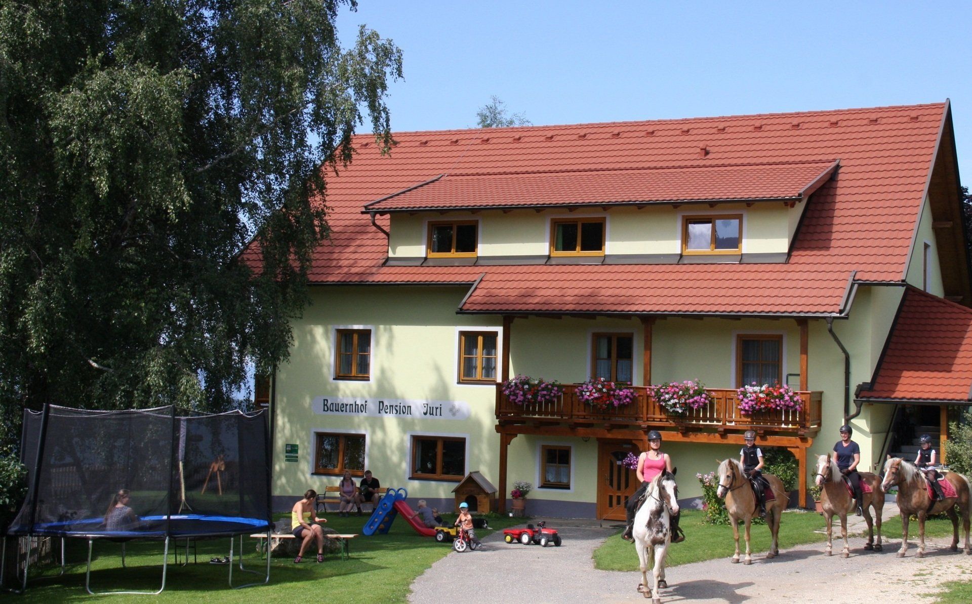 Jurihof mit Pferde