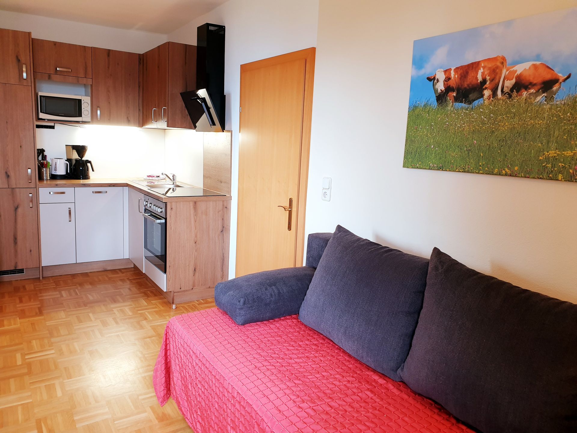 ausziehbares Doppelschlafsofa im Apartment