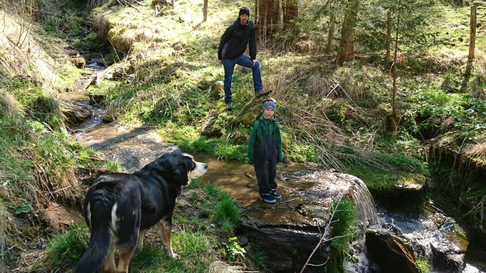 Hund beim Wandern dabei