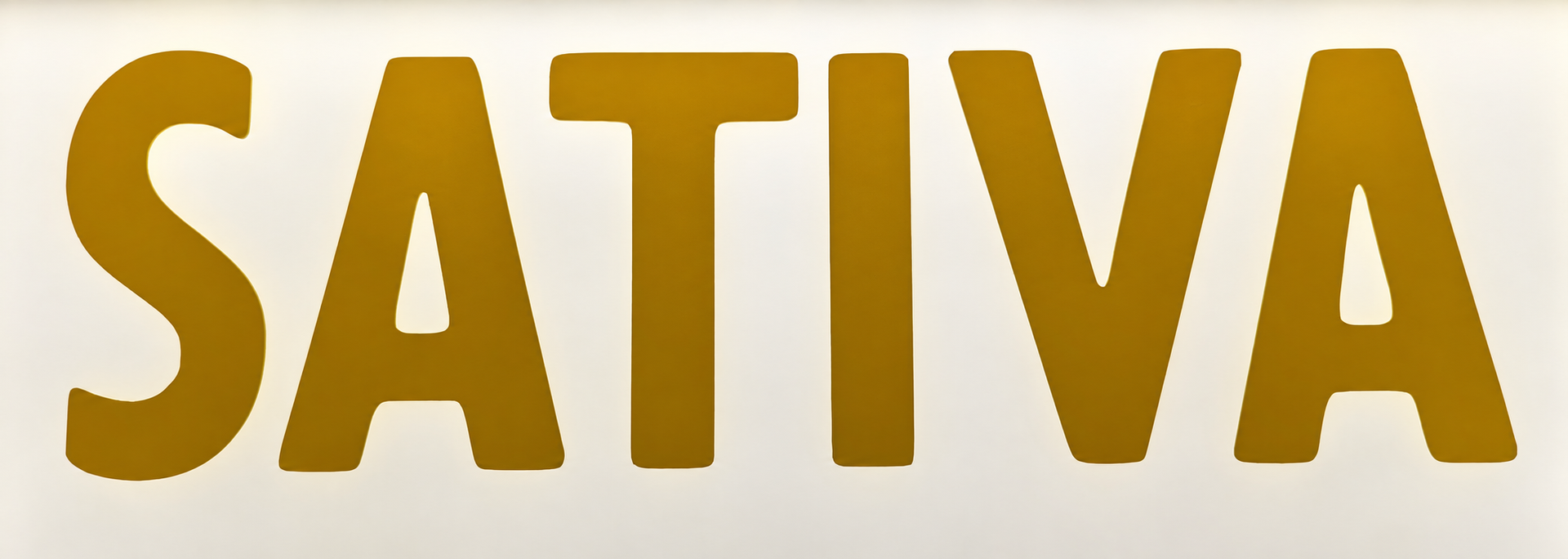 Gold SATIVA sign inside Cumberland Cannabis Company