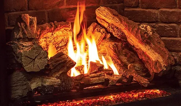 Woods With Fire