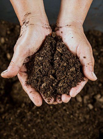 Green Grow Agro