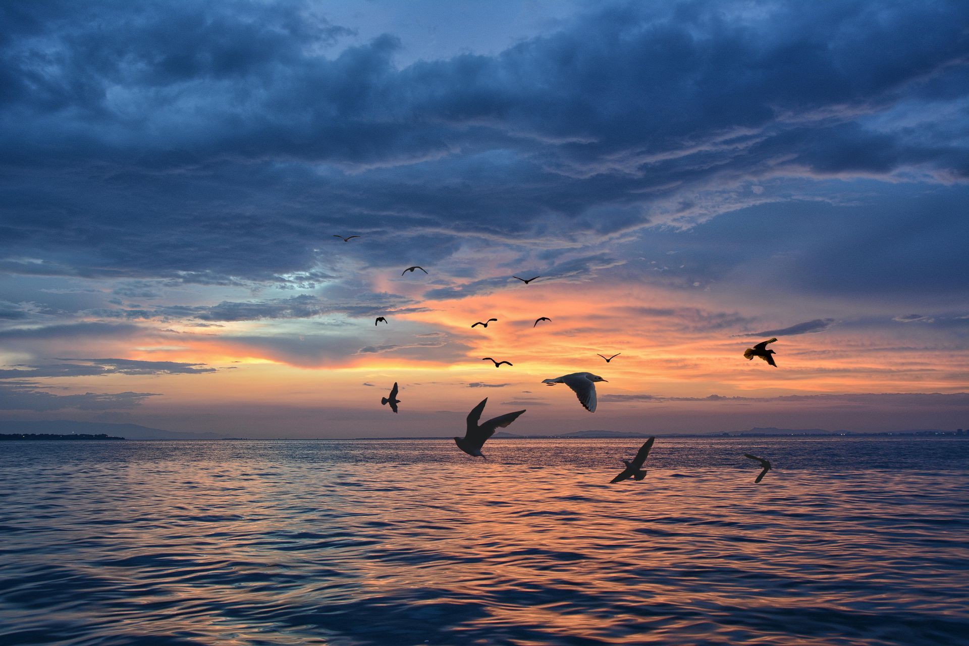 Birds flying over ocean at sunset; orange and blue sky, water reflects the light.
