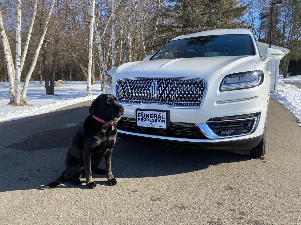 Black dog sitting beside a white SUV on a snowy roadside