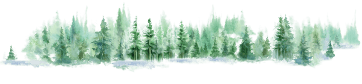 Snow-covered evergreen forest in soft green watercolor tones along a white landscape