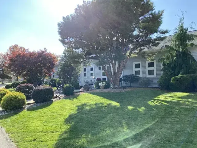 Sunny front yard with green lawn, trimmed shrubs, and a house shaded by large trees
