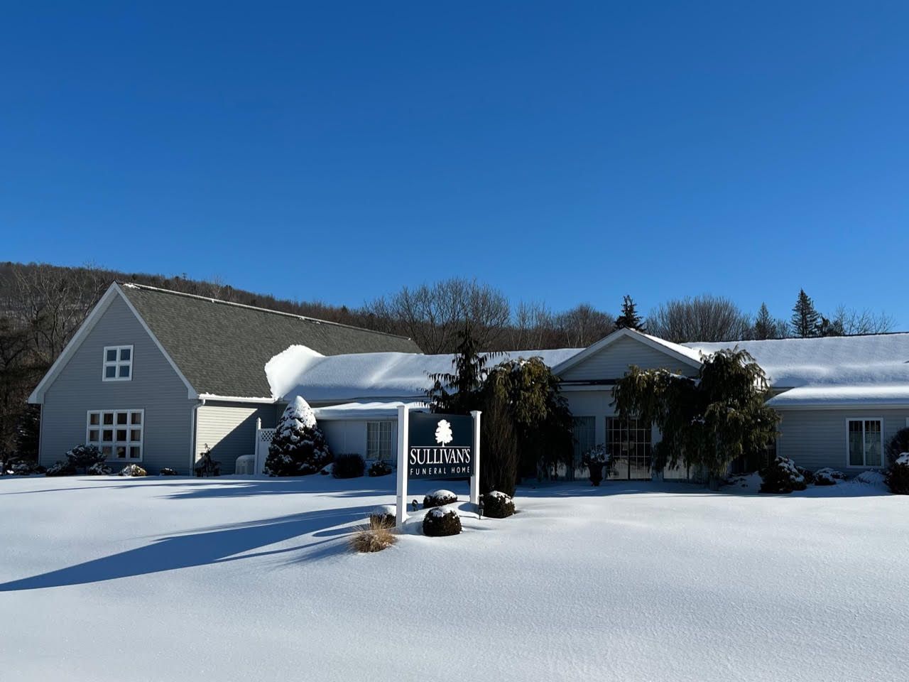 Snow-covered suburban houses under a clear blue sky with a birdhouse in the foreground