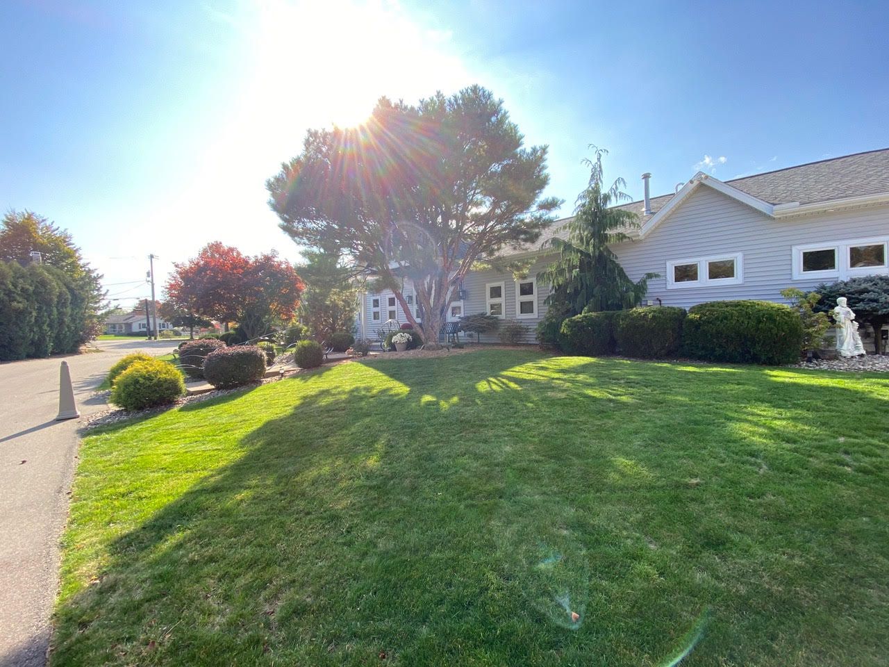 Sunny front yard with green lawn, trees, and a white house under bright sunlight
