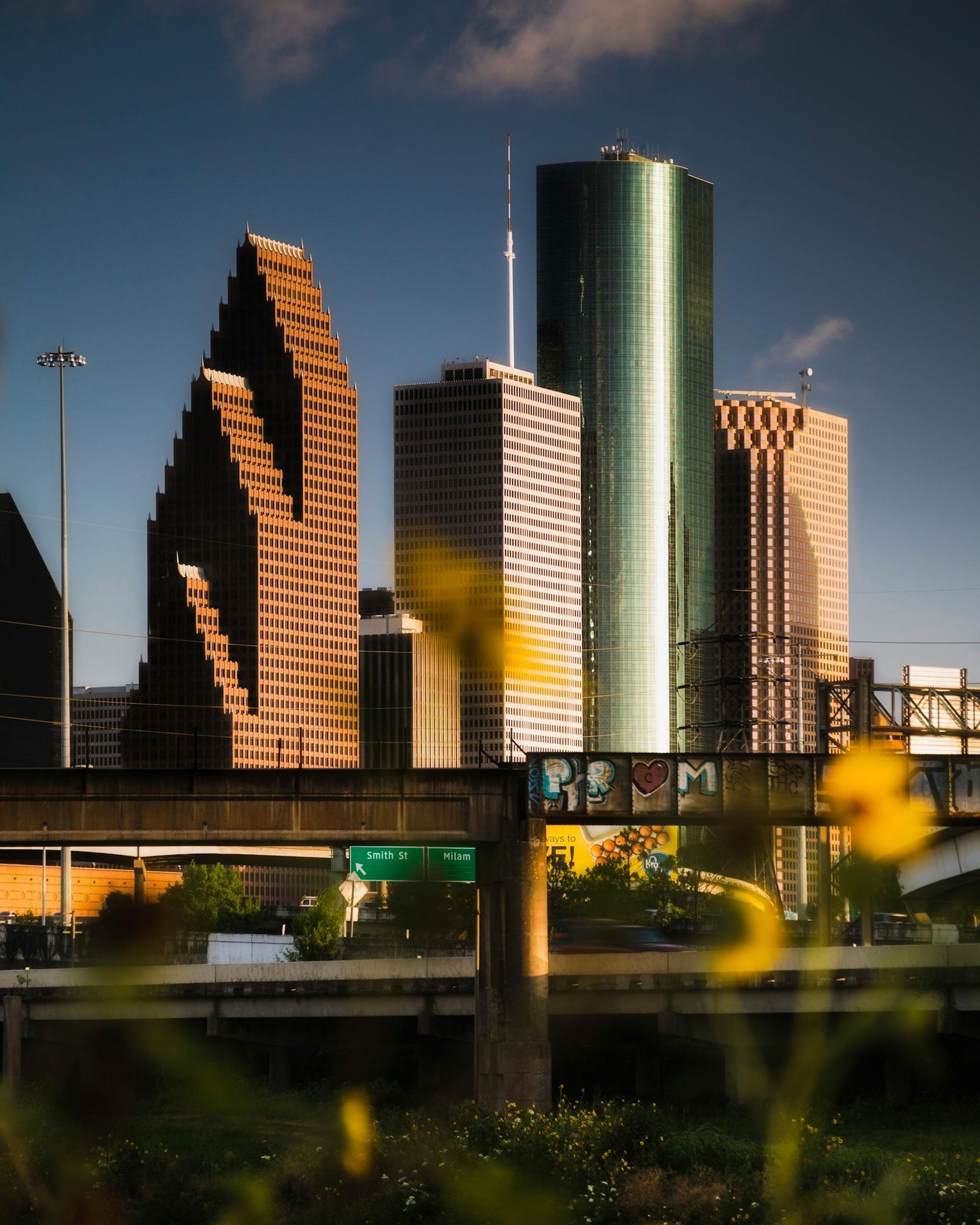 A city skyline with a bridge and flowers in the foreground