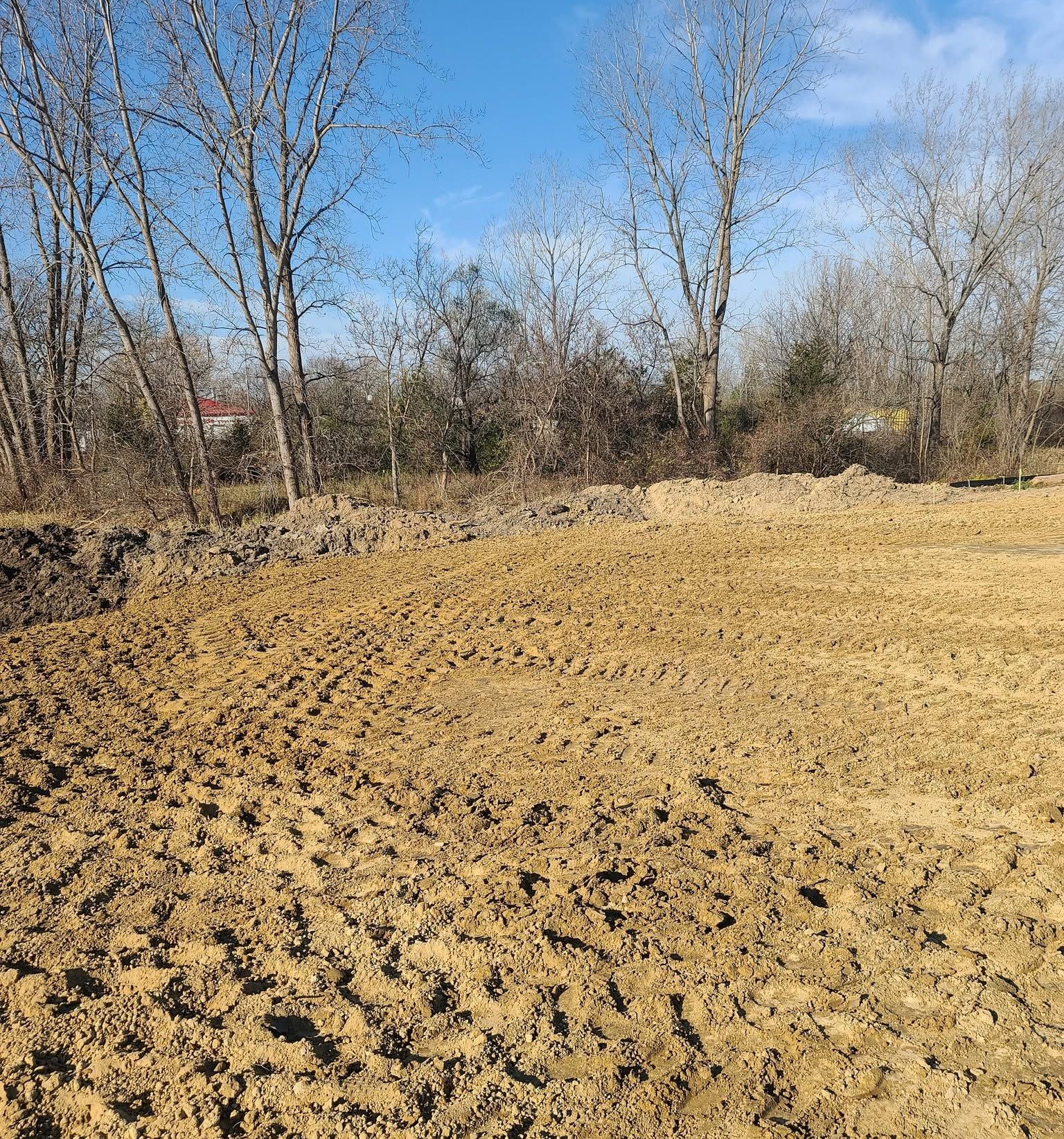 Plowed field with bare trees under a clear blue sky in late fall or winter