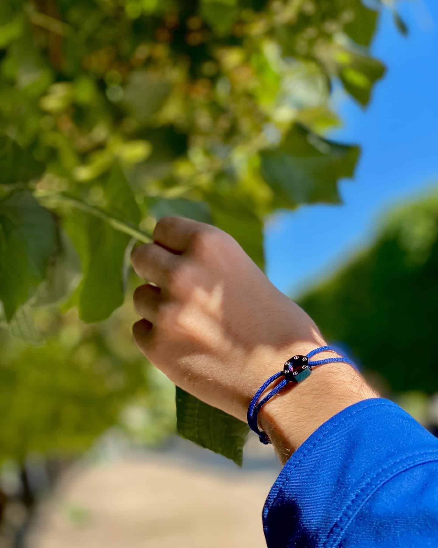 La main d'une personne avec un bracelet bleu touchant une feuille verte sur un arbre, contre un ciel bleu flou.
