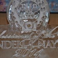 Clear glass trophy engraved “Professional of the Year 2014” on a wooden surface