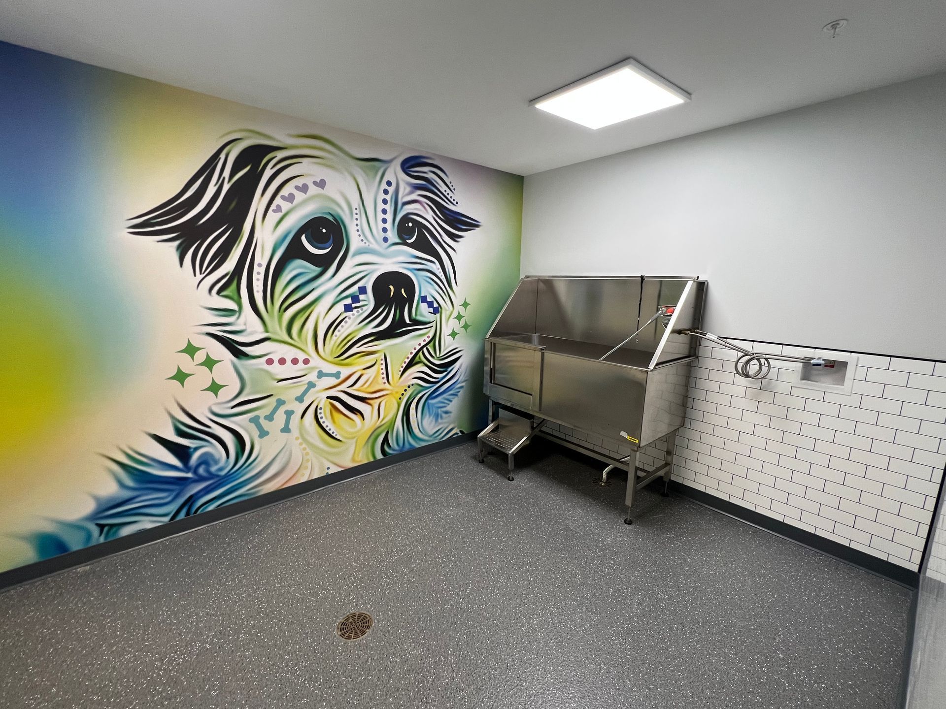 Dog grooming room with stainless steel tub, dog art mural, speckled floor, and pegboard.