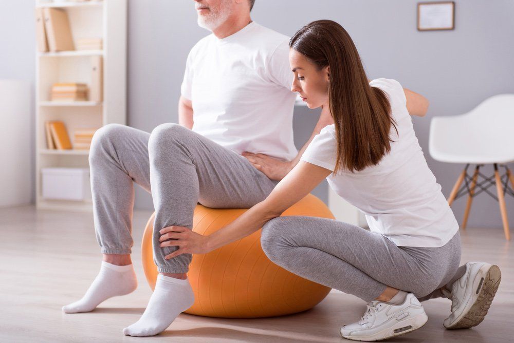 Therapist Assists a Person Sitting on an Exercise Ball — PhysioCare Townsville in Thuringowa Central, QLD