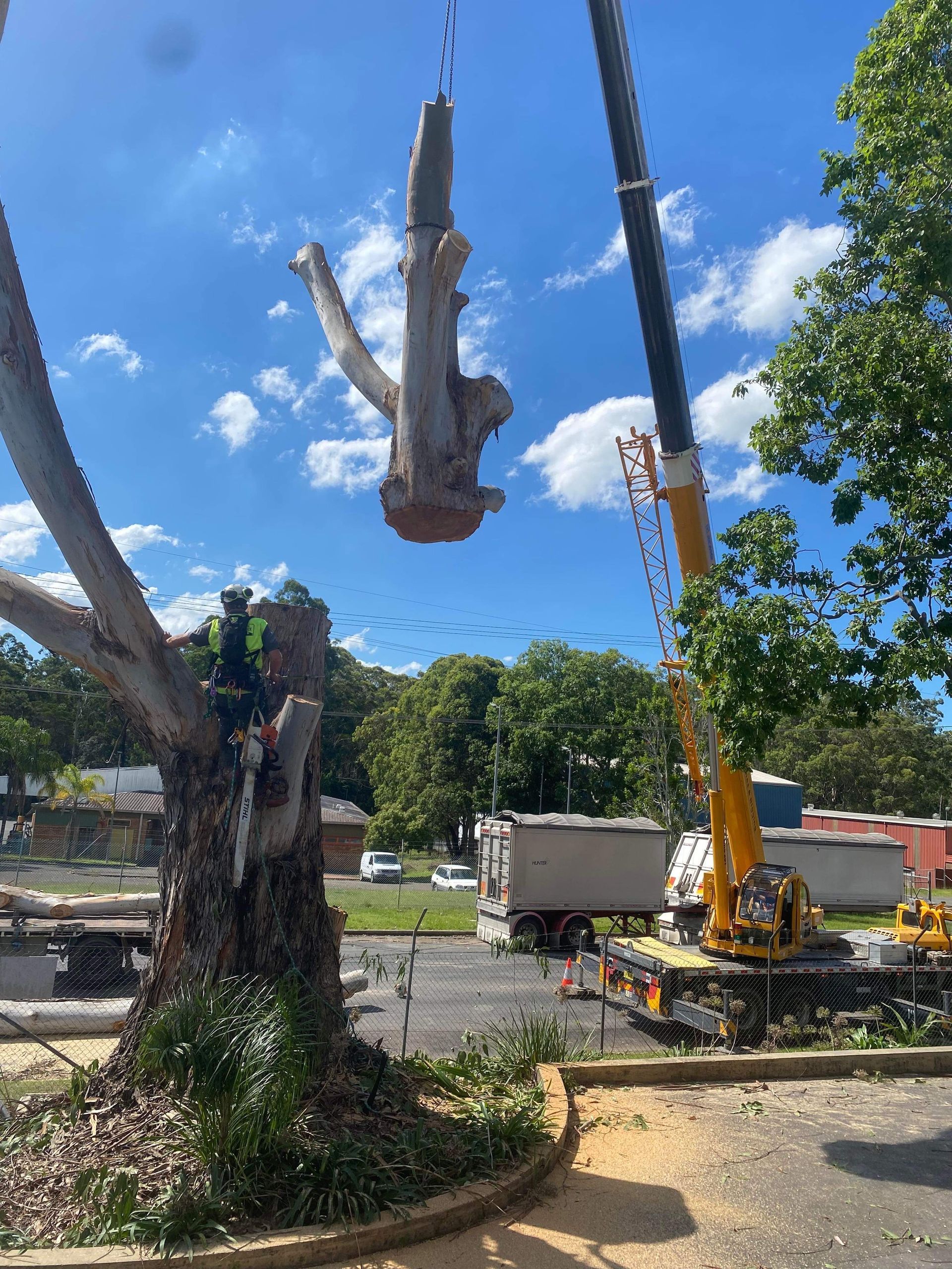 A large tree stump is being lifted by a crane — All One Arb Tree Service In Bonny Hills, NSW