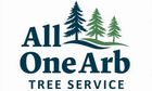 Arborist in the Mid North Coast Arborist in the Mid North Coast