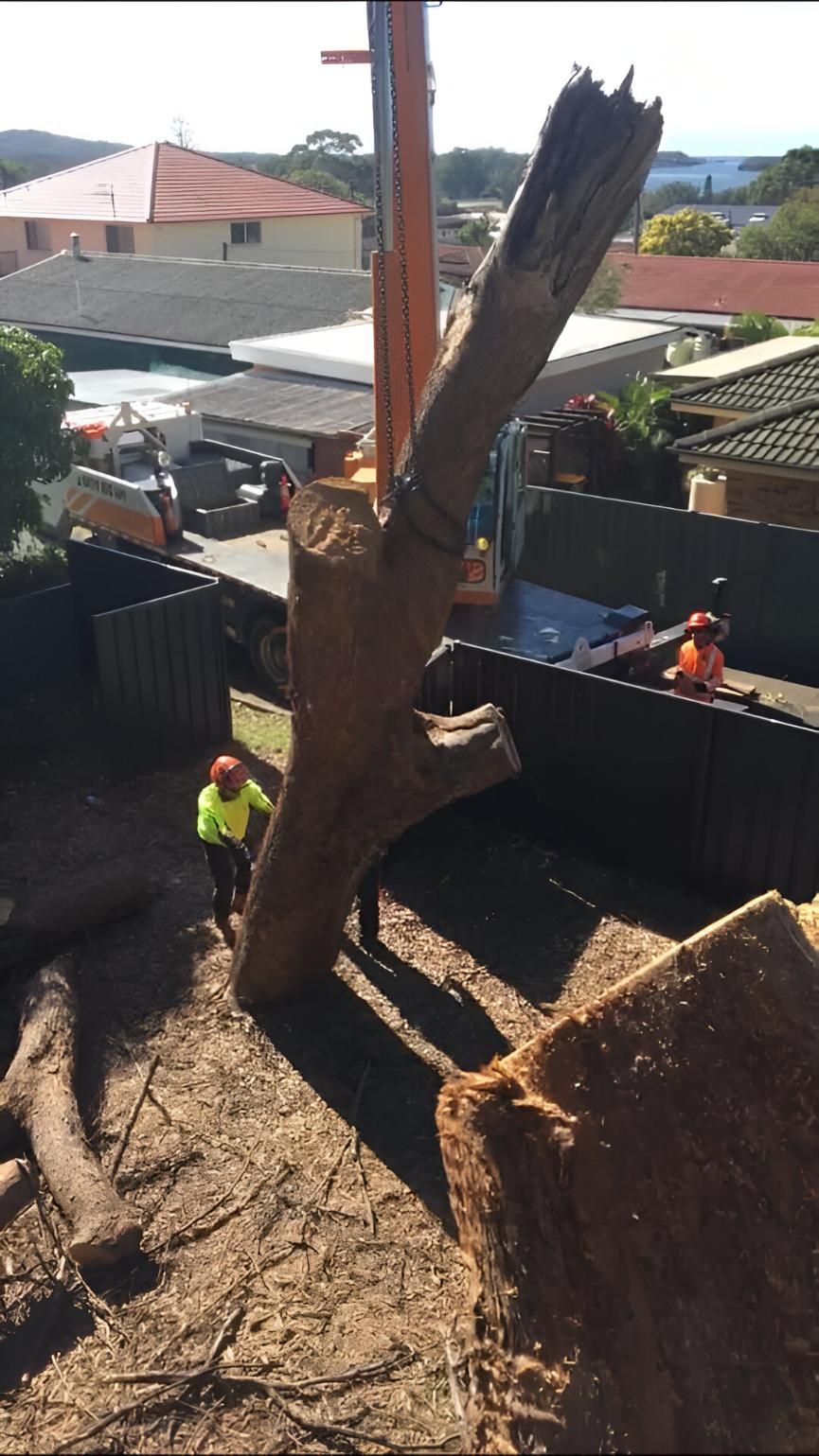 A Large Tree Stump is Being Lifted by a Crane — All One Arb Tree Service In Bonny Hills, NSW