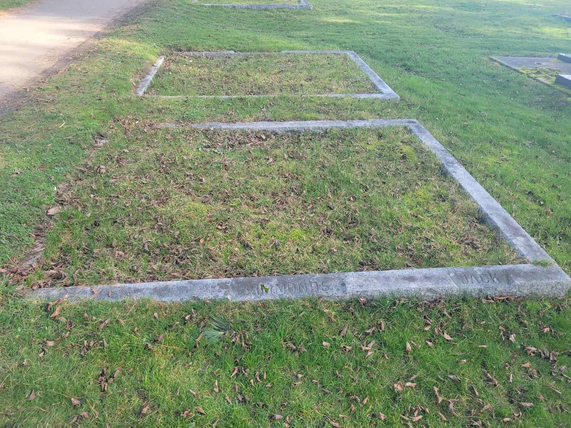there are three squares in the grass with concrete borders .