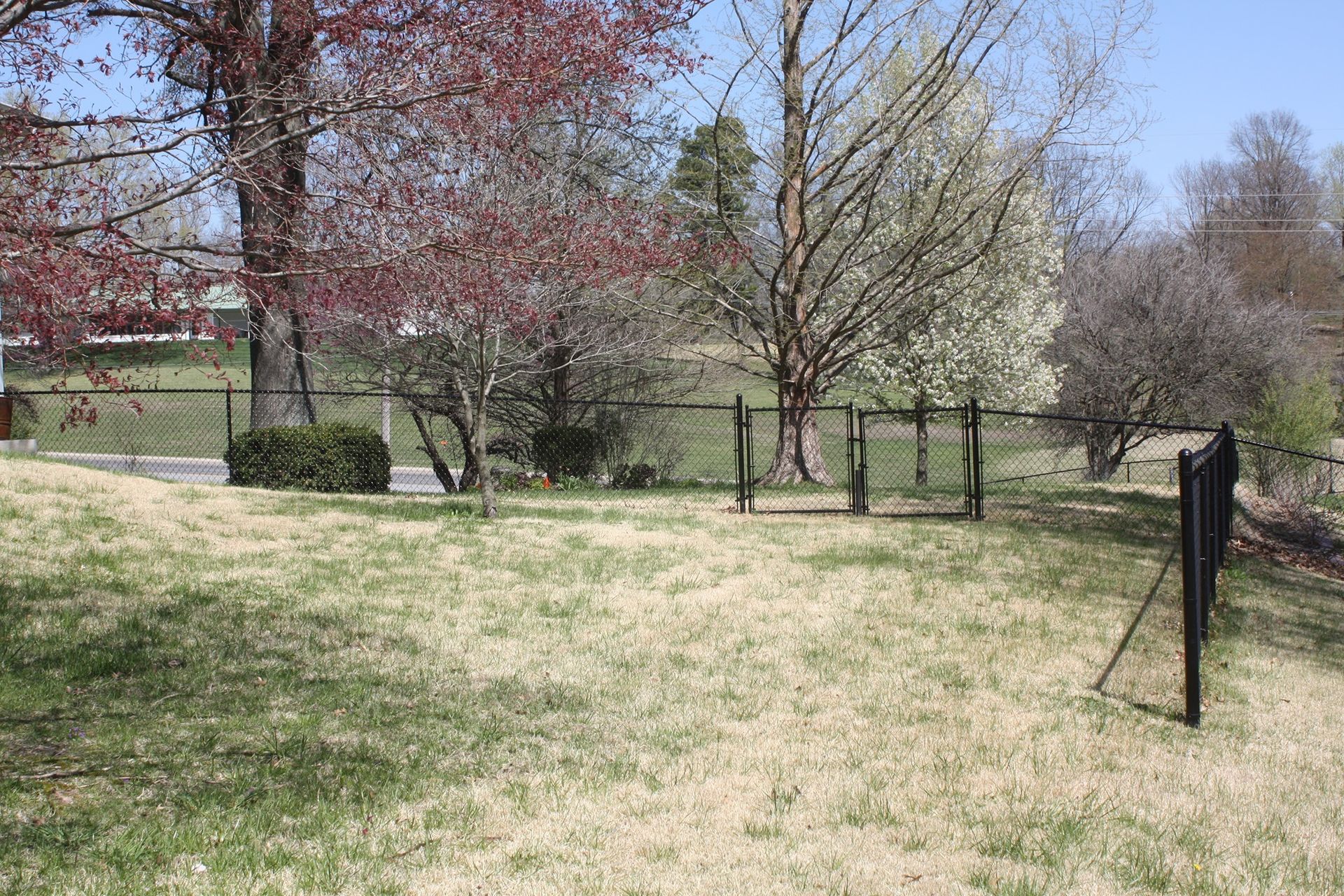 Grassy park with spring trees, a fence, and a black post in the foreground under a clear sky