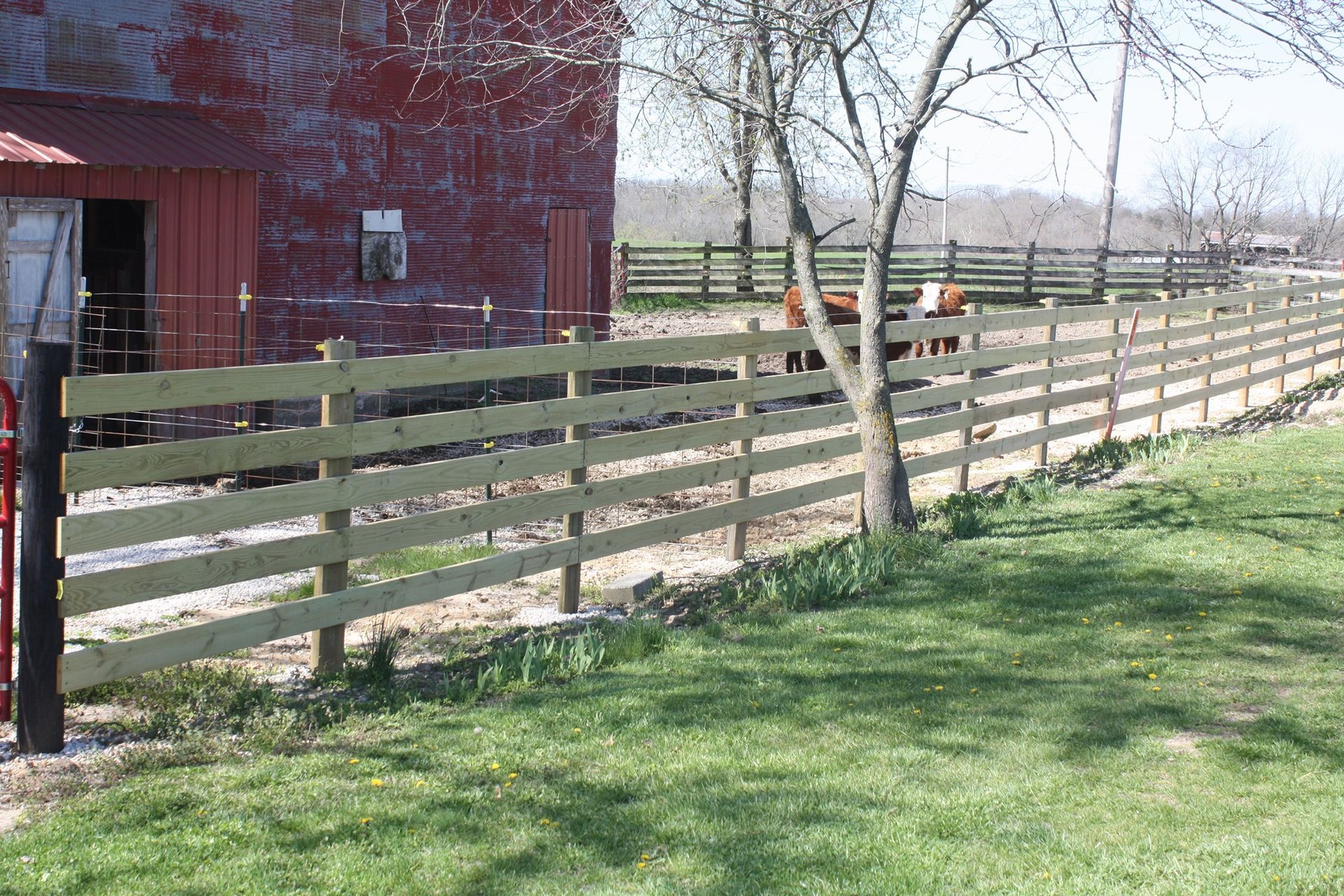 Wooden fence beside a red barn and grassy yard with leafless trees in the background