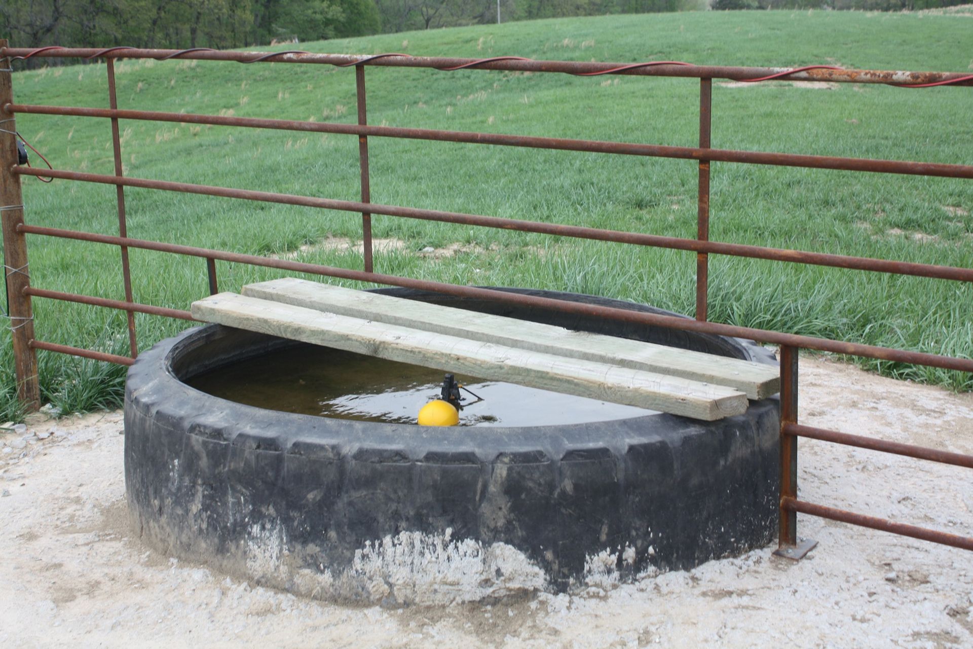 Round black water trough with a yellow float under a metal fence in a grassy field