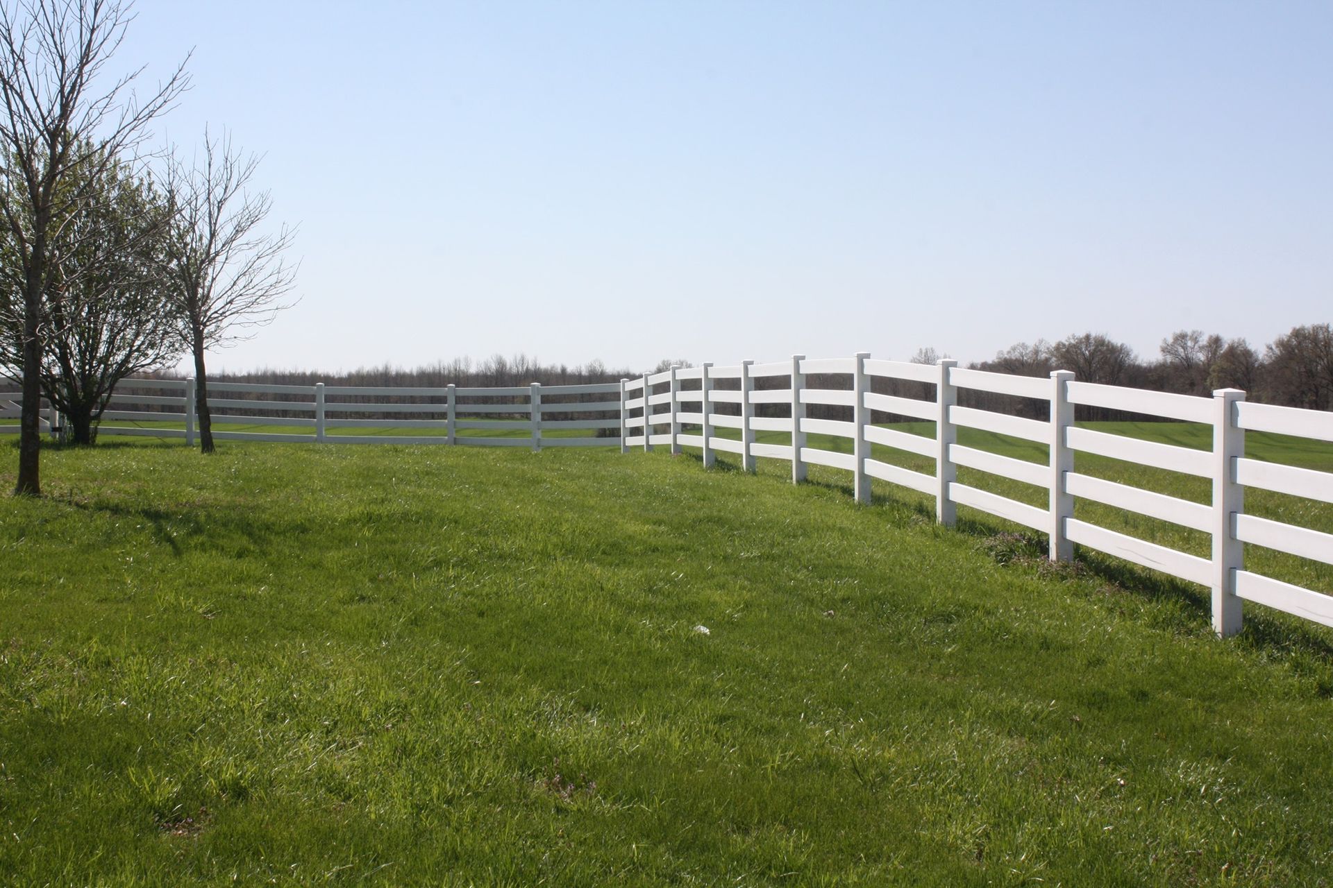 Green grassy field with a white fence stretching into the distance under a clear blue sky