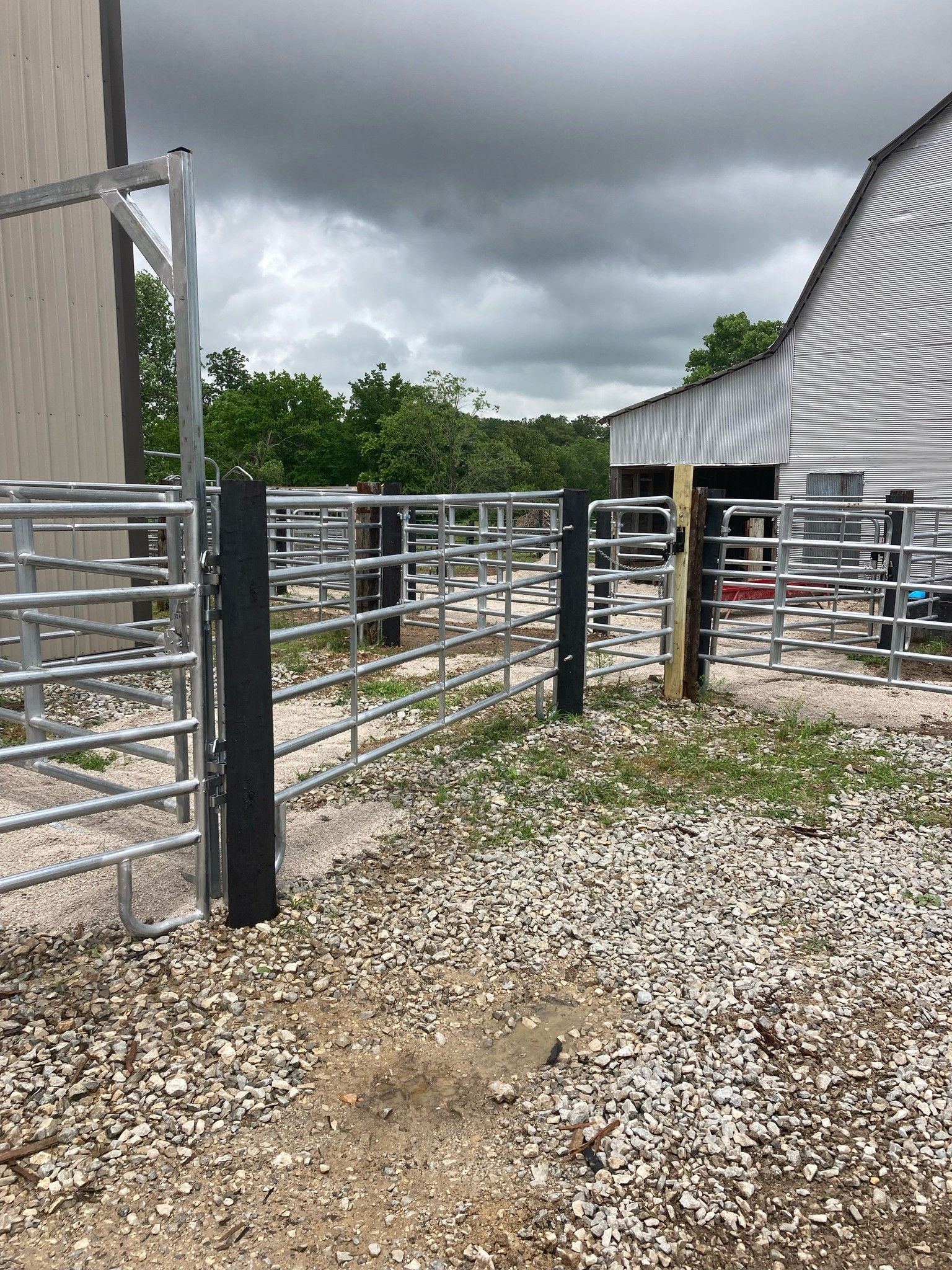 Gravel walkway between metal livestock gates beside a white barn under cloudy skies