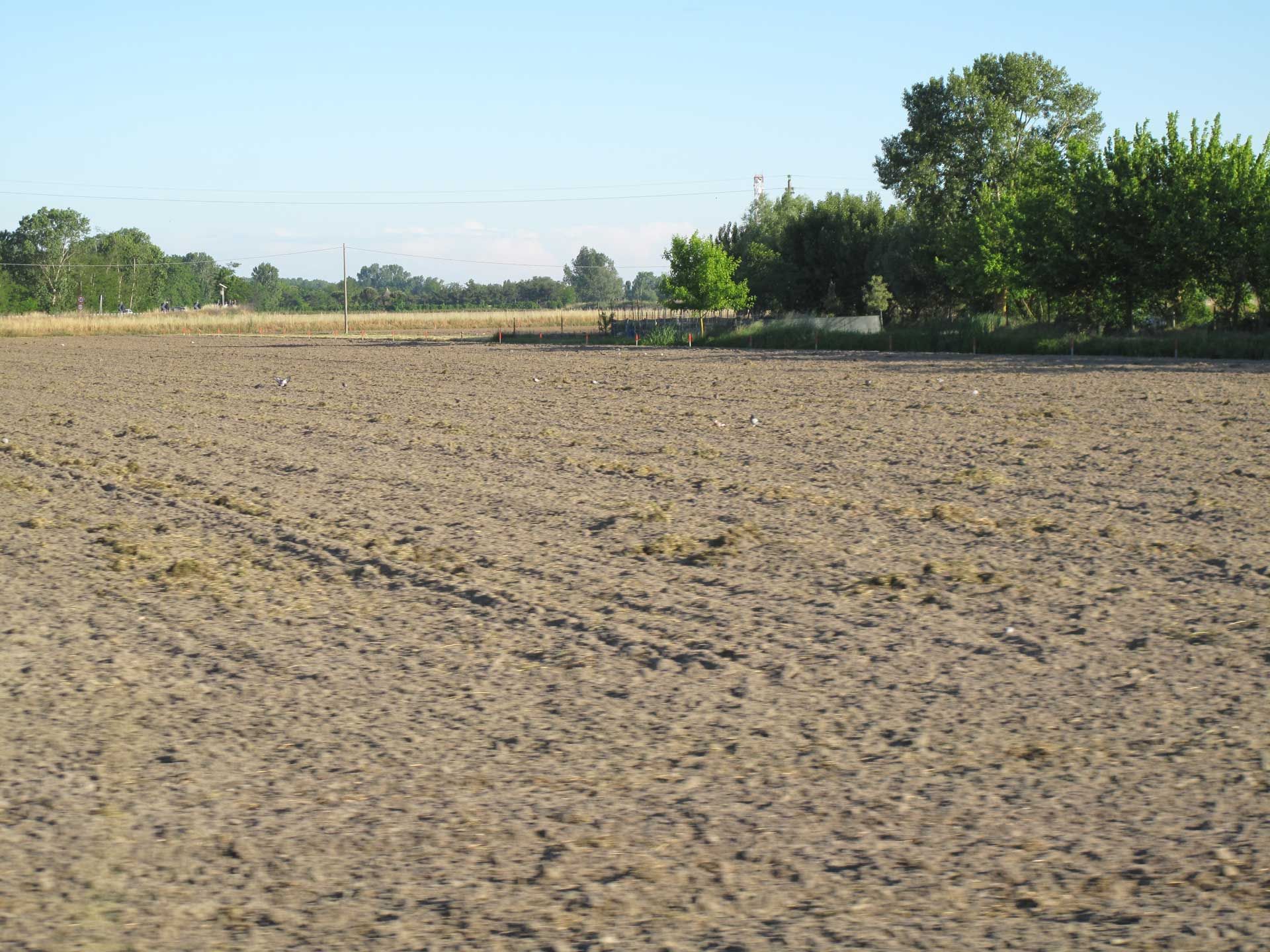 Plowed field under a blue sky, with trees in the background.