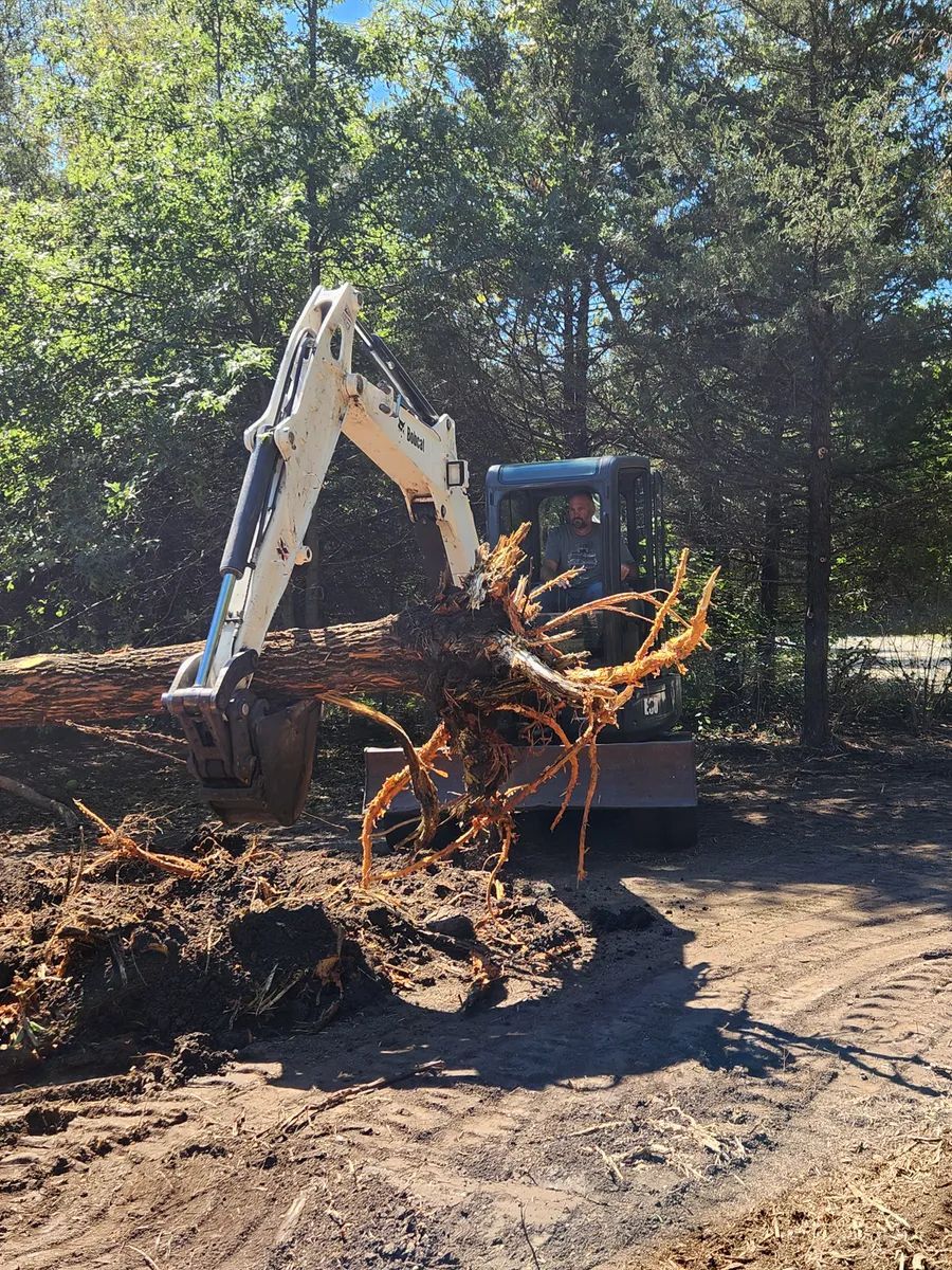 A large tree stump is being removed by an excavator.