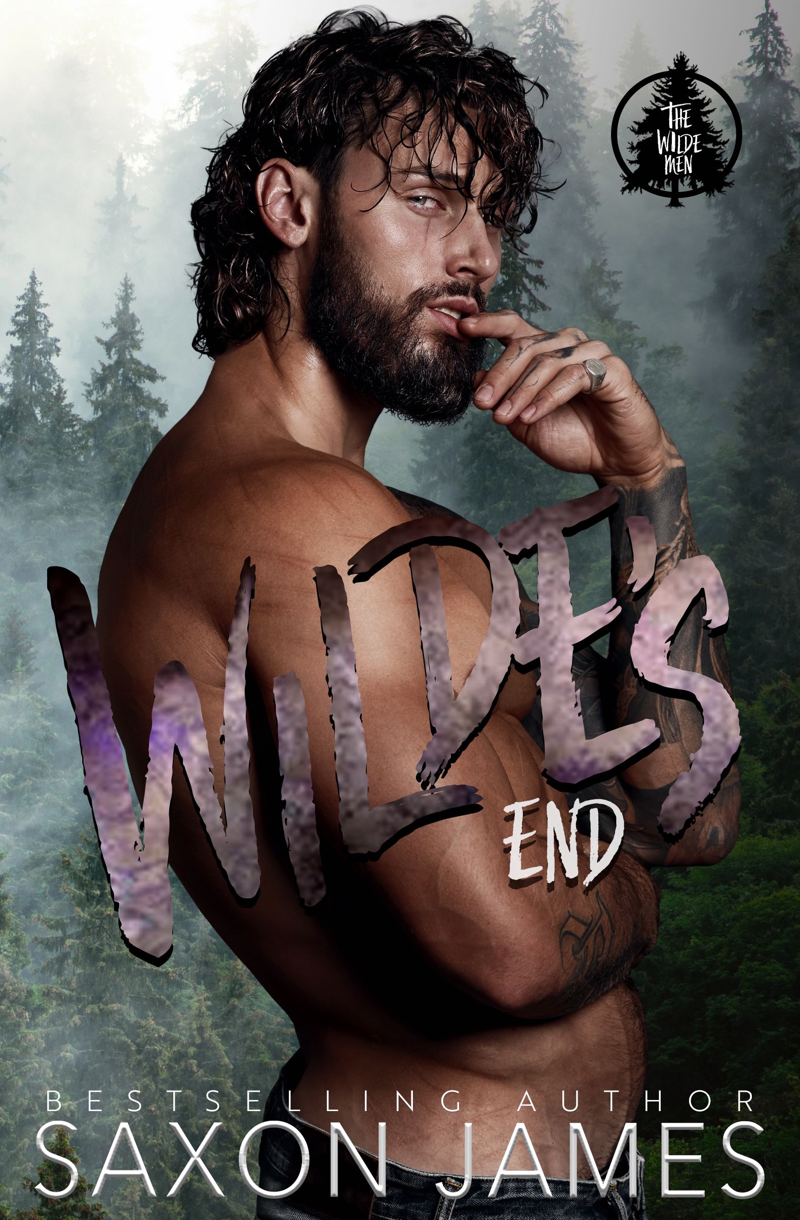 Wilde's End Book Cover