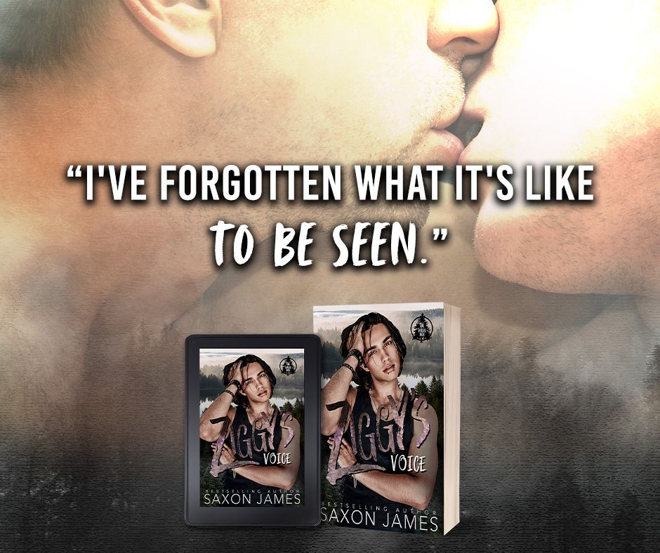 Promotional teaser image for Ziggy's Voice by Saxon James, featuring MM small town friends to lovers romance