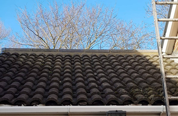 Ridge Repair Job