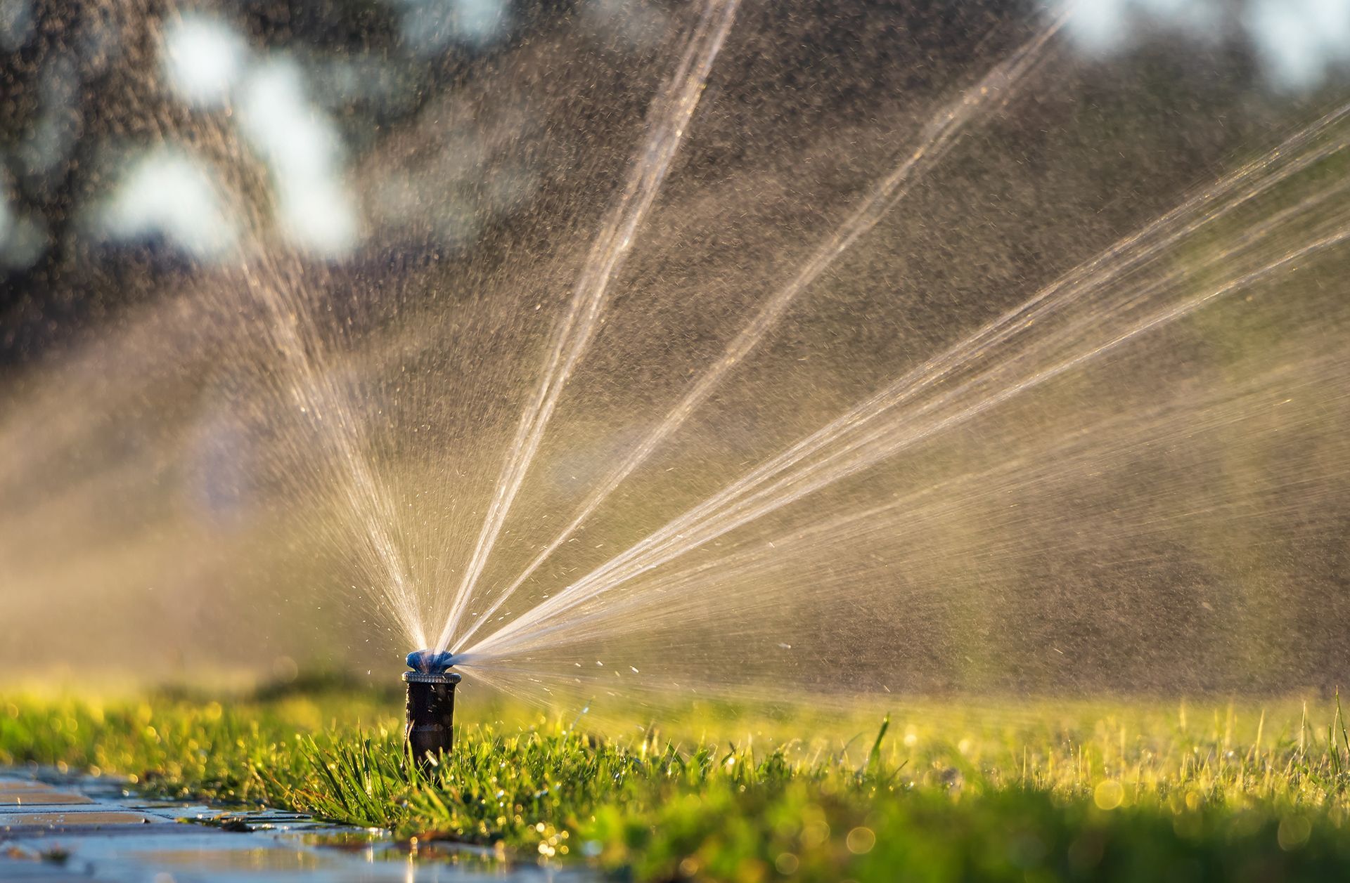 Why Every North Texas Home Needs a Well-Designed Irrigation System