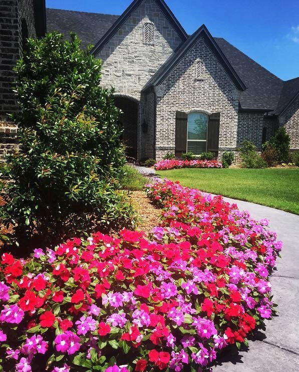 A brick house with vibrant pink and red flowers bordering a walkway.