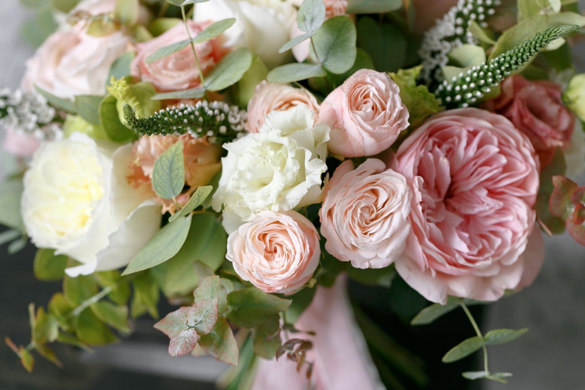Close-up of a bouquet with light pink and white roses, green eucalyptus leaves, and sprigs, tied with a pink ribbon.