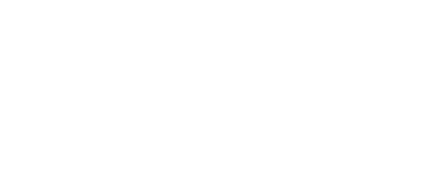 Industry Experience