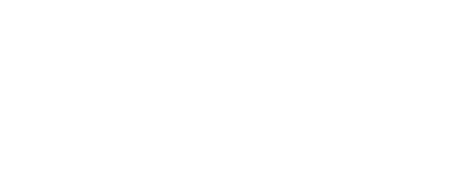 Industry Experience