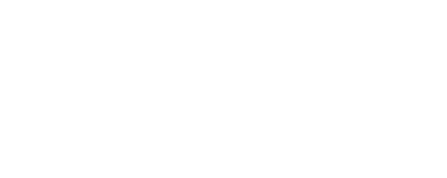 Industry Experience