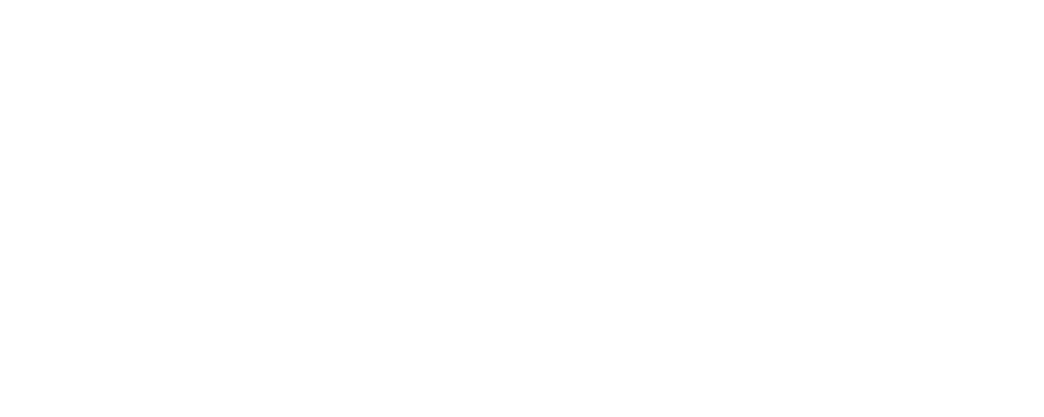 Industry Experience