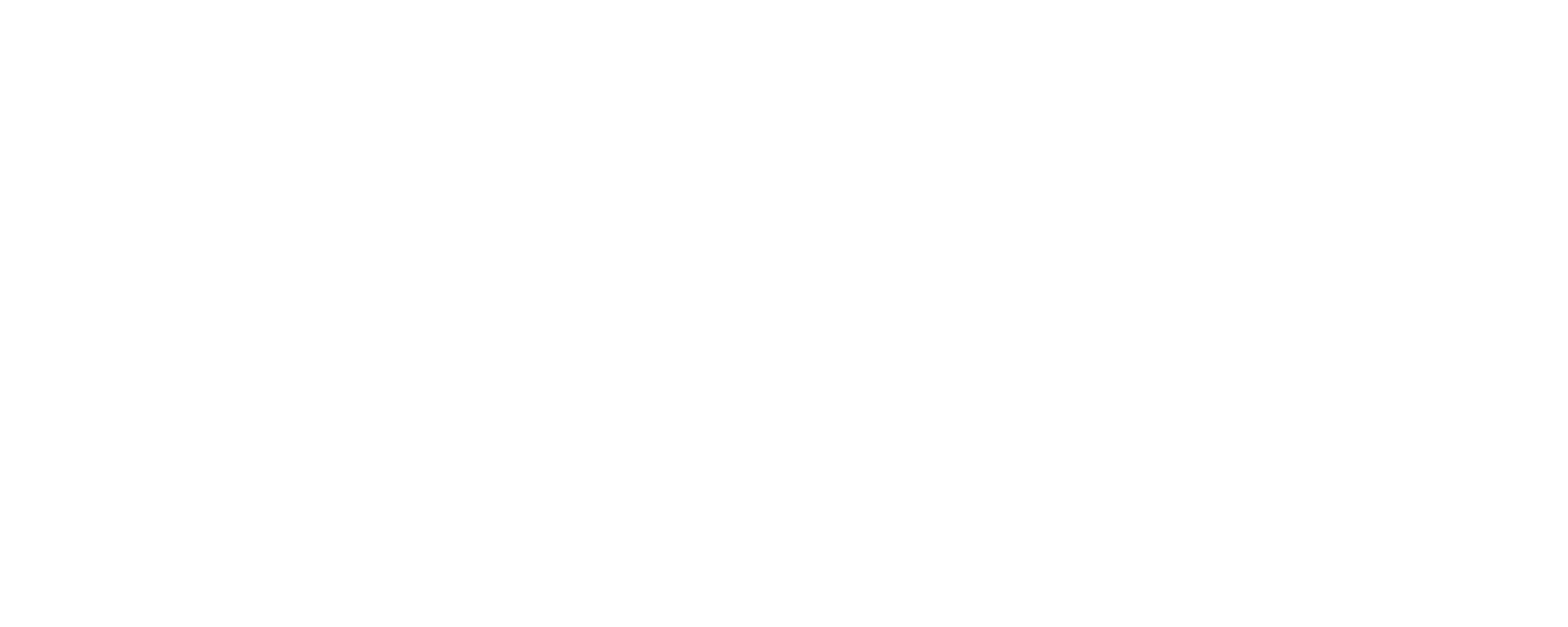 Industry Experience