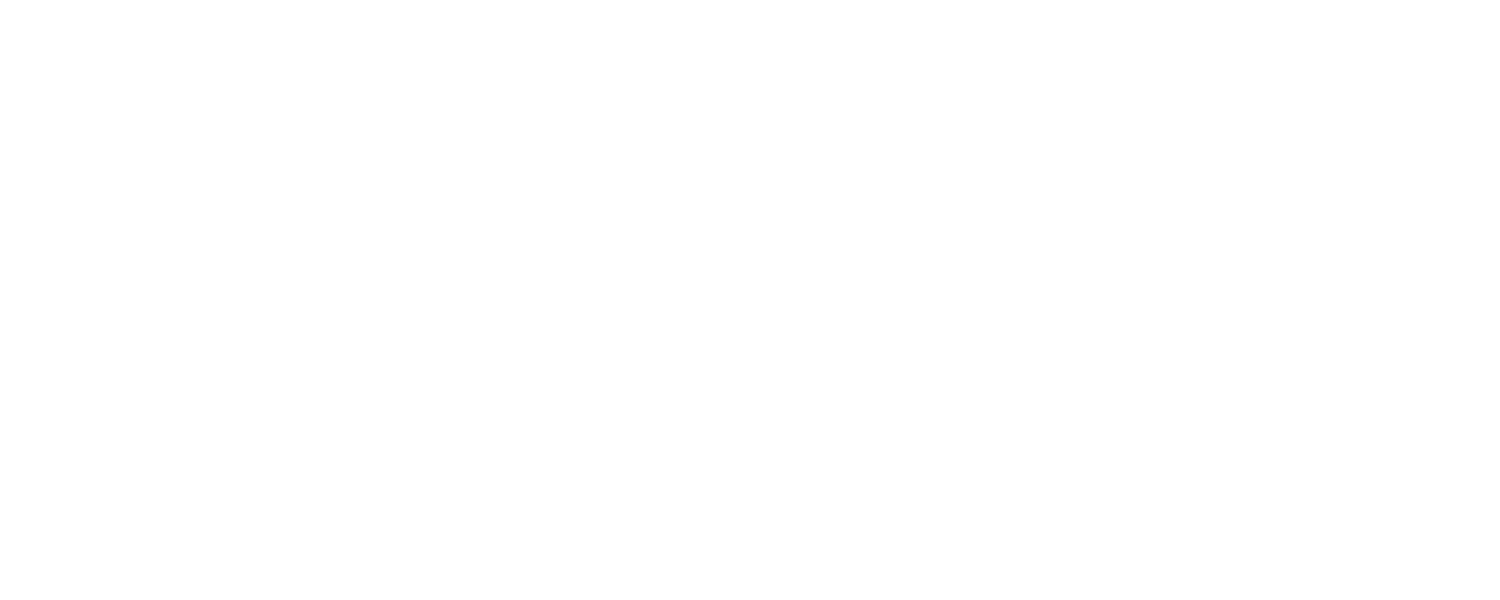 Industry Experience