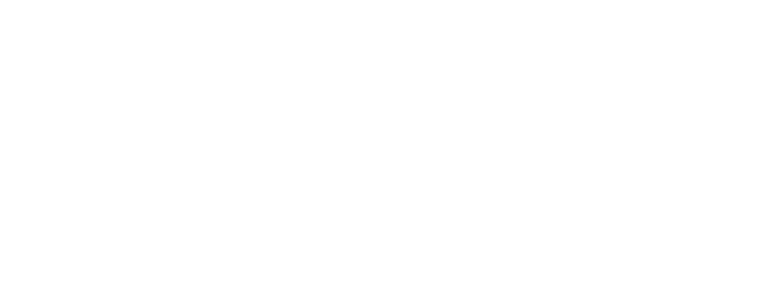 Industry Experience