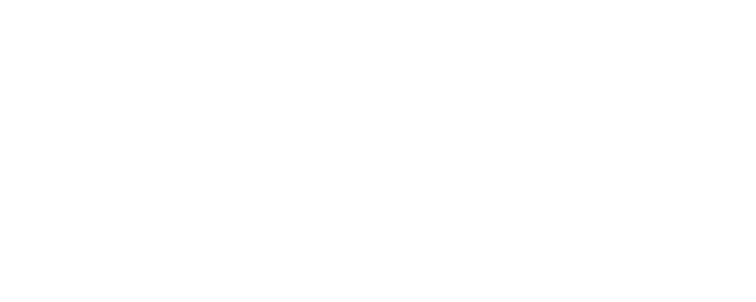 Industry Experience
